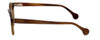 Calabria Elite Designer Eyeglasses CEBH122 in Brown Horn :: Progressive