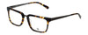 Original Penguin Designer Eyeglasses The Stanford in Tortoise 55mm :: Progressive