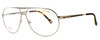 Carrera Master 2 Designer Eyeglasses in Gold (0MLH) :: Rx Bi-Focal