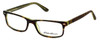 Eddie Bauer Designer Eyeglasses EB8368-Tortoise in Tortoise 52mm :: Rx Bi-Focal