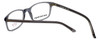 Silver Dollar Designer Eyeglasses CLD-9907 in Grey Frost 50mm :: Rx Bi-Focal
