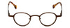 Cinzia Designer Eyeglasses Editorial 02 in Brown 39mm :: Rx Bi Focal