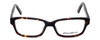 Eddie-Bauer Designer Eyeglasses EB8345 in Tortoise 55mm :: Rx Single Vision