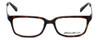 Eddie-Bauer Designer Eyeglasses EB8381 in Tortoise 52mm :: Rx Bi-Focal