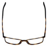 Calabria Viv Designer Eyeglasses 2016 in Tortoise 55mm :: Rx Single Vision