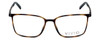 Calabria Viv Designer Eyeglasses 2016 in Tortoise 55mm :: Progressive