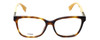 Fendi Designer Eyeglasses FF0055-7TA in Havana 54mm :: Rx Bi-Focal