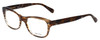 Vera Wang Designer Eyeglasses V339 in Nude-Horn 51mm :: Custom Left & Right Lens