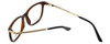 Gucci Designer Eyeglasses GG1151-0KS in Havana 52mm :: Custom Left & Right Lens