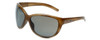 Porsche Designer Sunglasses P8524-B in Brown with Grey Lens