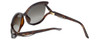 Christian Dior Designer Sunglasses Audacieuse2 9OJ in Havana with Brown Gradient Lens