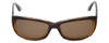 Corinne McCormack Designer Sunglasses Rockaway Tortoise Havana Brown Gold 55 mm