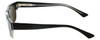 Reptile JAPAN Designer Polarized Sunglasses Gilbert Black-Clear/Flash Mirror L