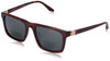 Spine Optics Polarized Bi-Focal Reading Sunglasses SP3004-104 in Tortoise