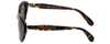Betsey Johnson Designer Sunglasses Betseyville BV113-02 in Espresso with Brown L