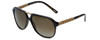 Chopard Designer Sunglasses SCH179-722P in Tortoise with Brown-Gradient Lens