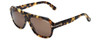 Tom Ford Designer Sunglasses Omar TF465-56J in Tortoise with Brown Lens 59mm
