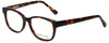 Ernest Hemingway Designer Reading Glasses H4674 in Tortoise 50mm