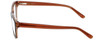 Ecru Designer Eyeglasses Morrison-048 in Tortoise 51mm :: Progressive