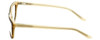 Ecru Designer Reading Glasses Springfield-016 in Tortoise-Cream 53mm