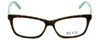 Ecru by Vivid Designer Reading Glasses Springfield-018 in Tortoise-Green 53mm