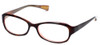 Paul Smith Designer Reading Glasses PS289-OABL in Tortoise Orange 53mm
