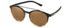 Black Tortoise Fade/Brown