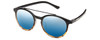 Black Tortoise Fade/Blue Mirror