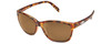 Tortoise/Brown