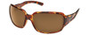 Tortoise/Brown