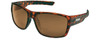 Tortoise/Brown