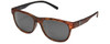 Blackened Tortoise/Grey