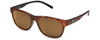 Blackened Tortoise/Brown