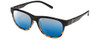 Black Tortoise Fade/Blue Mirror