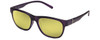 Purple Frost/Yellow