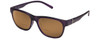 Purple Frost/Brown