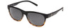 Black Tortoise Fade/Grey