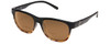 Black Tortoise Fade/Brown