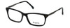 Esquire Designer Reading Glasses EB1500 in Black 53mm