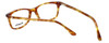 Esquire Designer Reading Glasses EQ1508 in Light-Tortoise 51mm