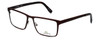 Lacoste Designer Reading Glasses L2199-210 in Brown 53mm