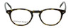 Silver Dollar Designer Reading Glasses CLD-9143 in Green Tortoise 48mm