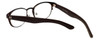 Cinzia Designer Reading Glasses The Innovator C2 in Brown 49mm