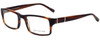 Jones New York Designer Reading Glasses J512 in Tortoise 54mm