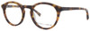 Kendall + Kylie Designer Eyeglasses Noelle KKO112-215 in Dark Tortoise 48mm :: Rx Single Vision