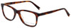 Kendall + Kylie Designer Eyeglasses GiaKKO121-215 in Dark Tortoise 53mm :: Rx Bi-Focal