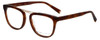 Kendall + Kylie Designer Reading Glasses KieraKKO133-237 in Tortoise 51mm
