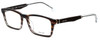 Police Designer Reading Glasses Close Up 5VPL055-0C00 in Brown Stripe 53mm