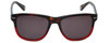 Carolina Herrera Designer Sunglasses SHE608-0897-54 mm in Dark Havana Red & Grey