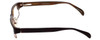 Harve Benard HB601 Designer Reading Glasses in Brown